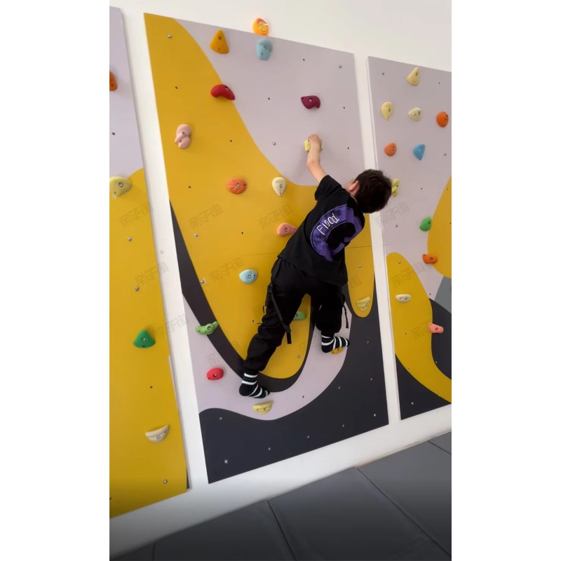 어린이 실내 합판 클라이밍 벽체육관, 스윙 사다리 및  - Home Gym For Kids 리뷰 및 가격