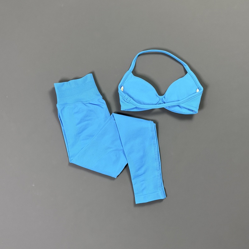 2Pcs HISTELLO 요가 세트 여성용 Seamle - Home Gym Leg Press 리뷰 및 가격