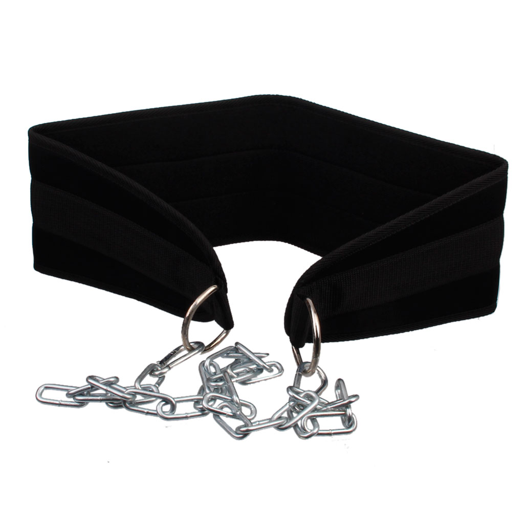 폴리에스터 역도 벨트 더블 D 링 디핑 체인 짐 벨트  - Weight Belt Lifting 리뷰 및 가격