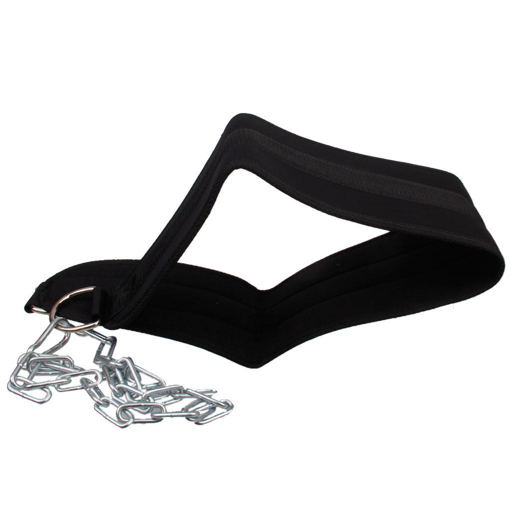 폴리에스터 역도 벨트 더블 D 링 디핑 체인 짐 벨트  - Weight Belt Lifting 리뷰 및 가격