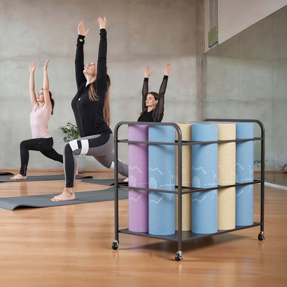 바퀴가 달린 요가 매트 보관 랙, 홈짐 운동기구 보관  - Home Gym Yoga Storage 리뷰 및 가격